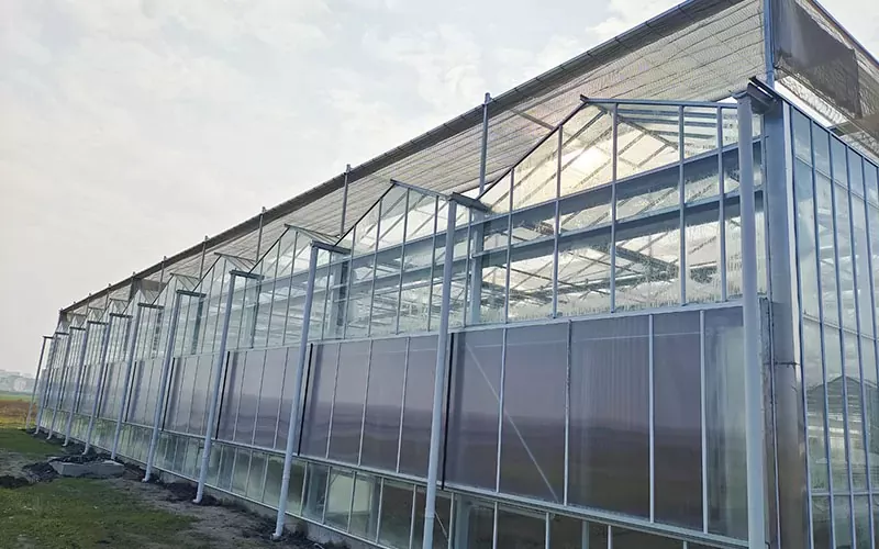Венло стакленик од поликарбоната